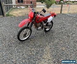 Honda XR400R for Sale