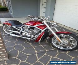 Harley Davidson V-Rod VRSCA 100th anniversary  for Sale