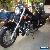 Honda Valkyrie GL1500C for Sale