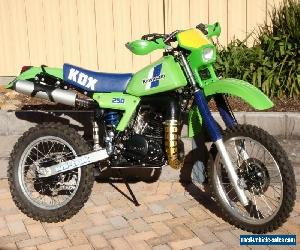 Kawasaki KDX 250 1984 Vinduro