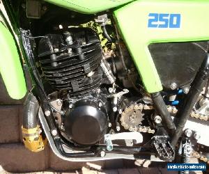 Kawasaki KDX 250 1984 Vinduro