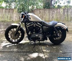 2010 Harley-Davidson Sportster Iron 883 (XL883N) Silver for Sale