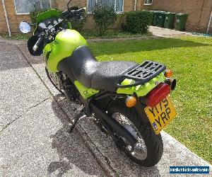 Triumph Tiger 955i