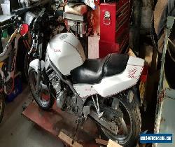 1995 Honda CB-1 400 NC27, CB400 for Sale