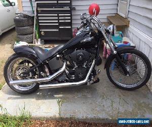 2000 Harley-Davidson Softail