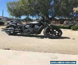 2019 Indian Scout for Sale