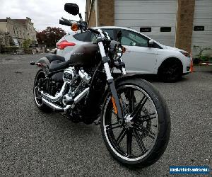 2019 Harley-Davidson Softail