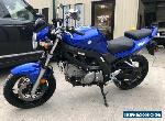 2005 Suzuki SV for Sale