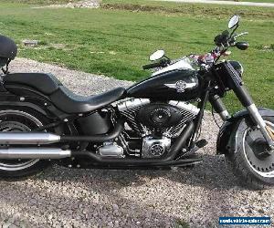 2010 Harley-Davidson Other