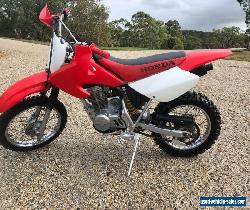 honda xr 80 for Sale