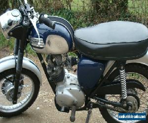 triumph tiger cub