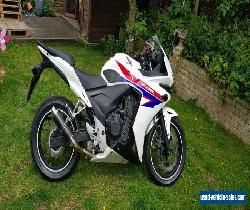 2013 Honda CBR500RA-D for Sale