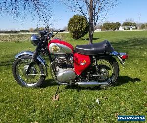 1970 BSA A65 for Sale