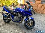 suzuki bandit s 600 gsf 600 2004 metallic blue lovely bike  for Sale