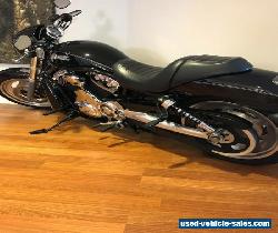 Harley Davidson VRSCD V-ROD Night Rod  for Sale