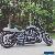 2015 Harley-Davidson VRSCDX CUSTOM NIGHT ROD SPECIAL for Sale