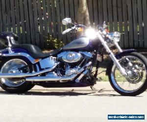 Harley Davidson custom softail 2006