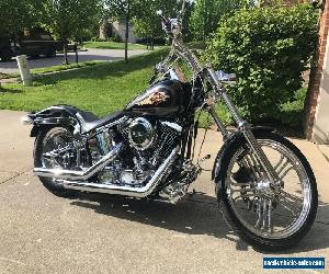 1999 Harley-Davidson Softail