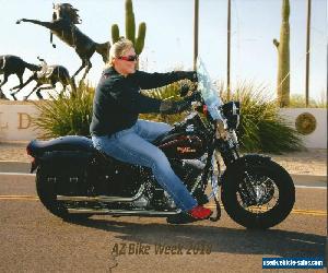 2008 Harley-Davidson Softail