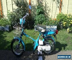 Honda Express nc50 for Sale