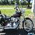 2006 Harley-Davidson Softail Standard for Sale