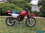 Honda XR250 1984 twin carbie  for Sale