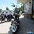 2017 Harley-Davidson Softail -- for Sale