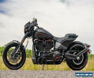 2019 Harley-Davidson Softail