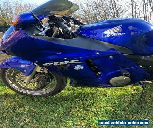 Honda blackbird cbr1100xx low 33000 miles