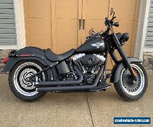 2010 Harley-Davidson Softail