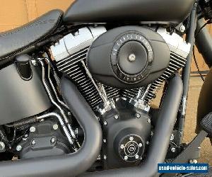 2010 Harley-Davidson Softail