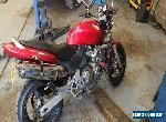 Honda CB600F Hornet 12 months mot recent serivce  for Sale