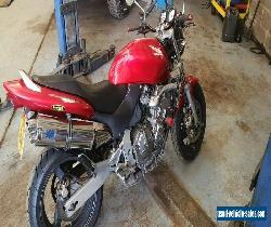 Honda CB600F Hornet 12 months mot recent serivce  for Sale