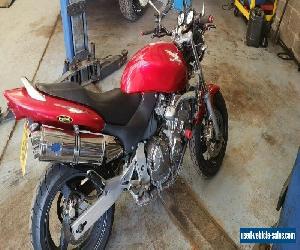 Honda CB600F Hornet 12 months mot recent serivce 