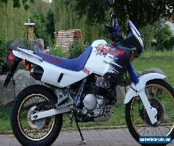 Honda NX650 Dominator for Sale