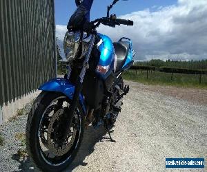 Suzuki gsr 600 