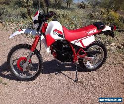 1986 Yamaha XT 350 for Sale