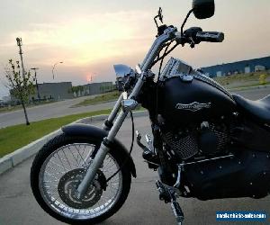 Harley-Davidson: Softail