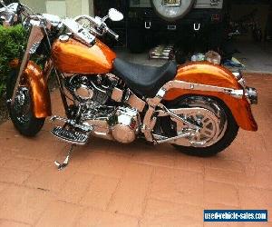 2000 Harley-Davidson Softail