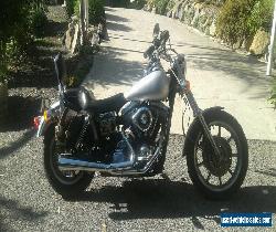 harley davidson FXD 1991 for Sale