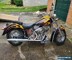 2003 Indian Spirit