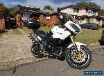 TRIUMPH TIGER 1050 SE ABS for Sale