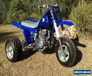 Custom Honda ATC 250R 