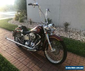 2014 Harley-Davidson Softail