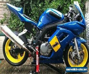 Suzuki sv  SV650 Track Bike  Mini Twin