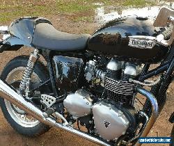 Triumph thruxton  for Sale