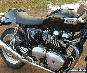 Triumph thruxton  for Sale