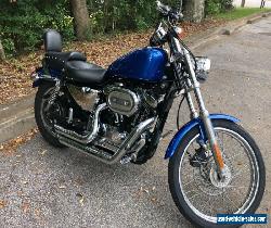 2002 Harley-Davidson XL1200C .. DONT MISS THIS DEAL ! NO DEALER FEE'S for Sale
