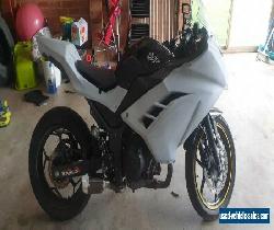 Ninja 300 track bike ready to track NO RESERVE - Cannot be registered for Sale