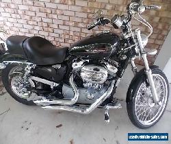 Harley Davidson 2009 883XL custom Sportster for Sale